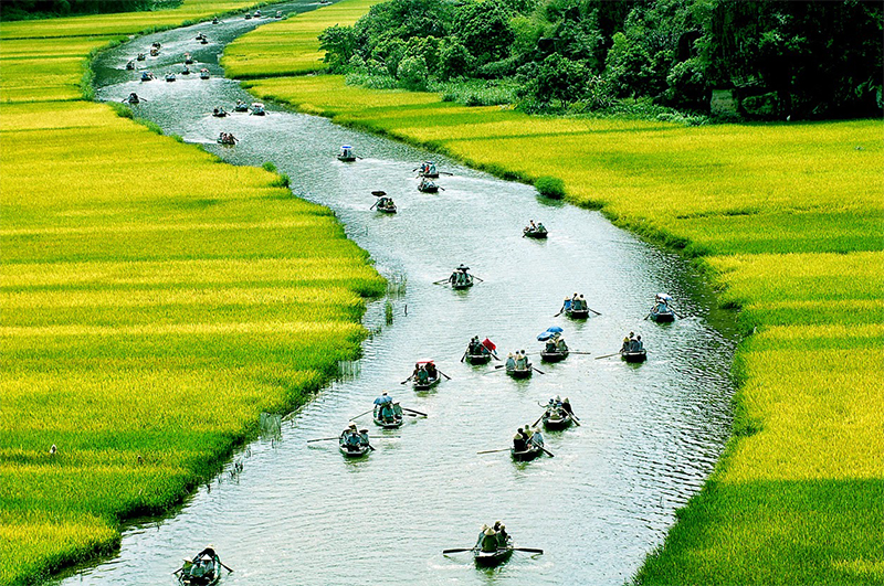 Đặc sản Việt Nam