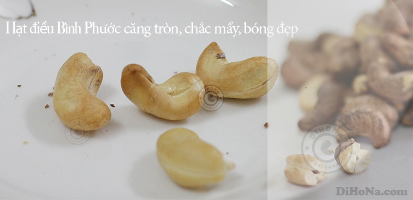 Thế mạnh về cây điều tại Bình Phước