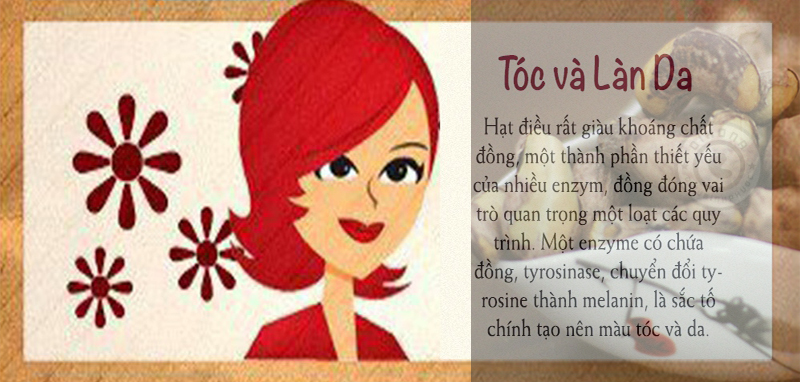 mua-hat-dieu-o-dau-ngon-tphcm
