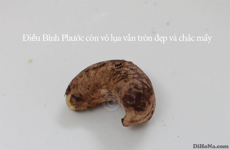 Hạt điều Bình Phước - khi nào được gọi tên đúng?