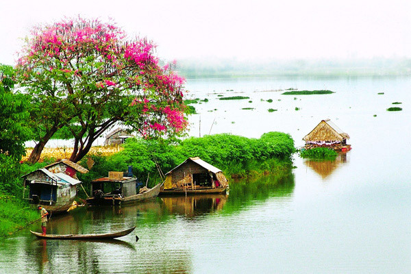 Quà tặng Việt Nam